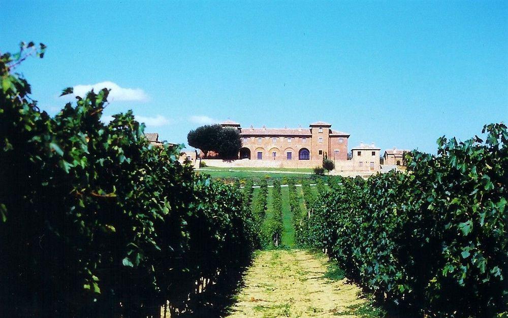 Agriturismo Terra Rossa Valiano Zewnętrze zdjęcie