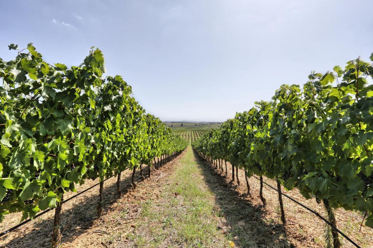 Agriturismo Terra Rossa Valiano Zewnętrze zdjęcie